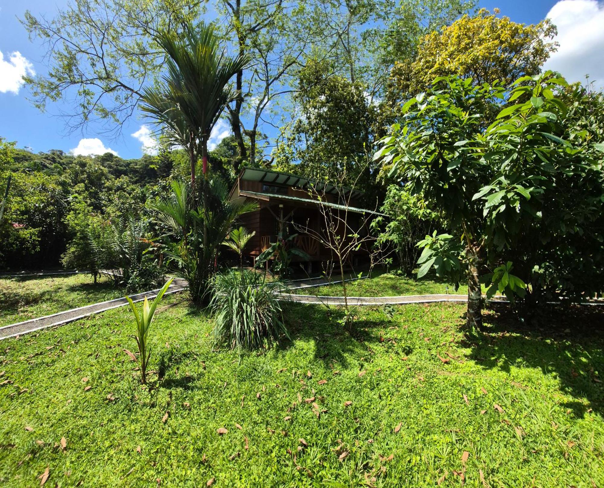 Centro Ananda Acomodação com café da manhã Guápiles Exterior foto